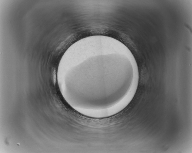 X0000102390027200808221835