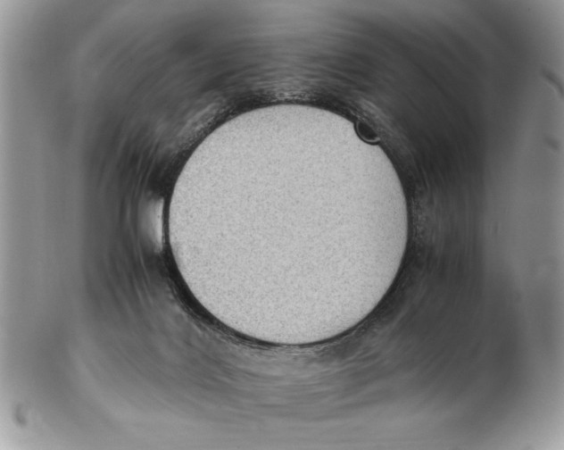X0000102390028200808221835
