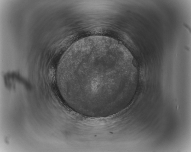 X0000102390029200808221835
