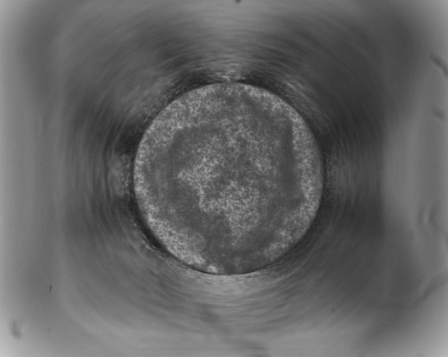 X0000102390030200808221835