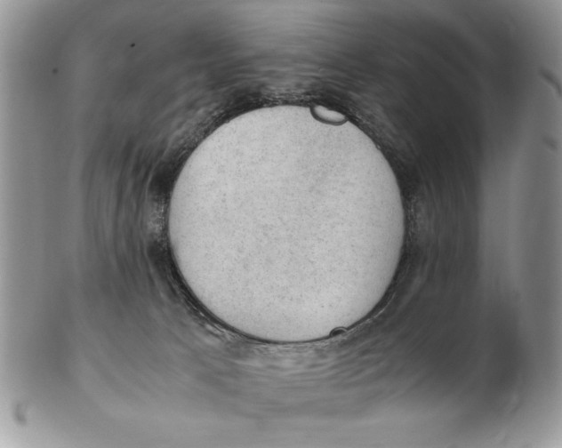 X0000102390033200808221835