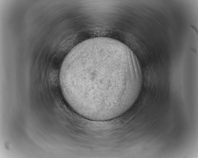 X0000102390034200808221835