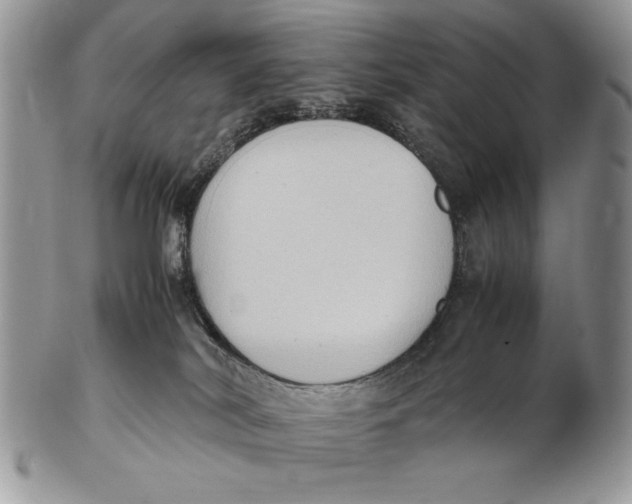 X0000102390038200808221835