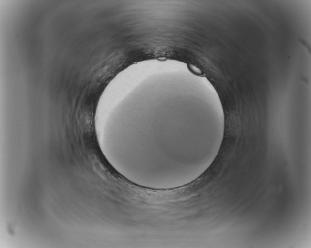X0000102390039200808221835