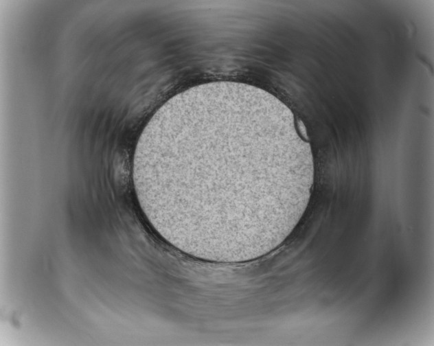 X0000102390040200808221835