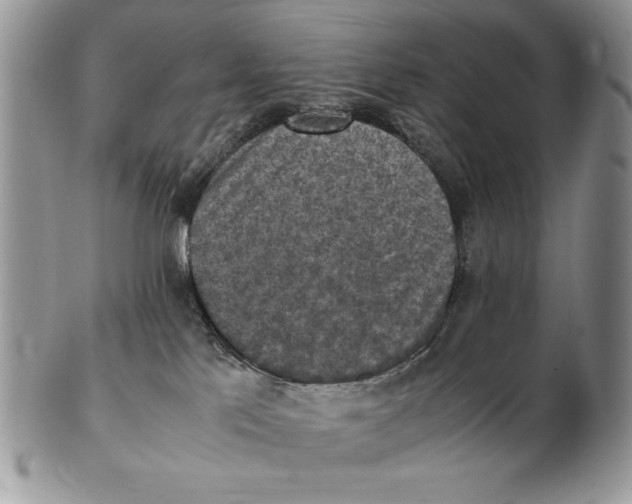 X0000102390041200808221835