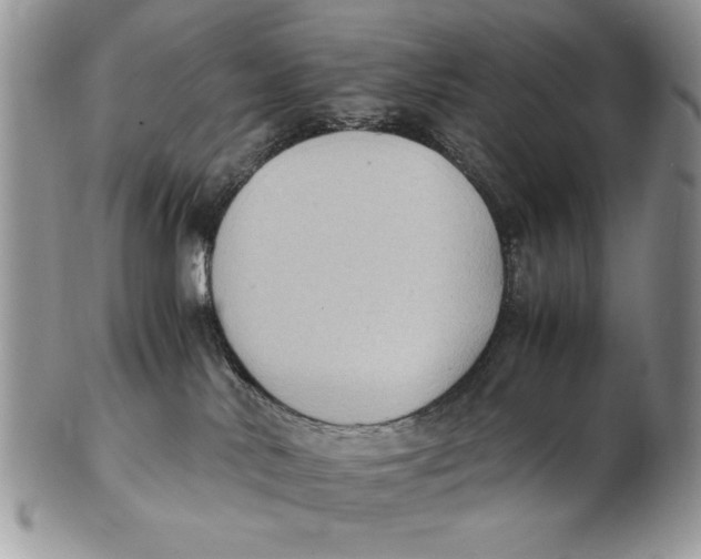X0000102390042200808221835