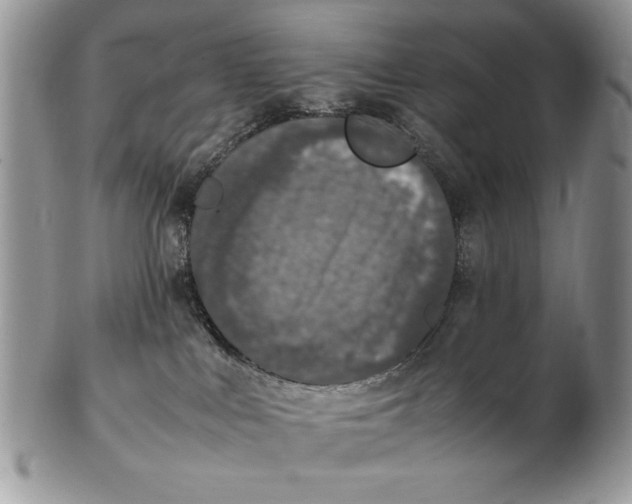 X0000102390043200808221835
