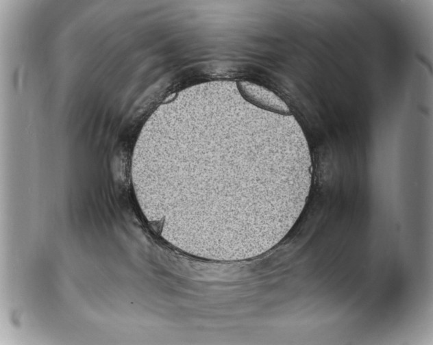 X0000102390044200808221835