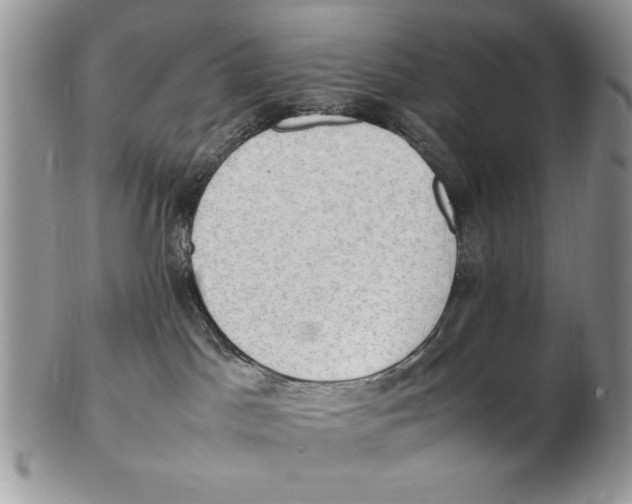 X0000102390045200808221835