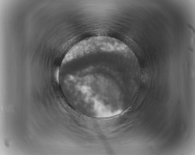 X0000102390047200808221835