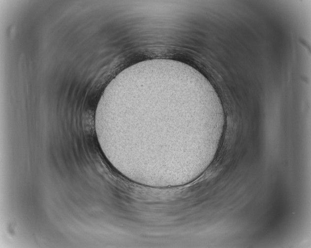 X0000102390048200808221835