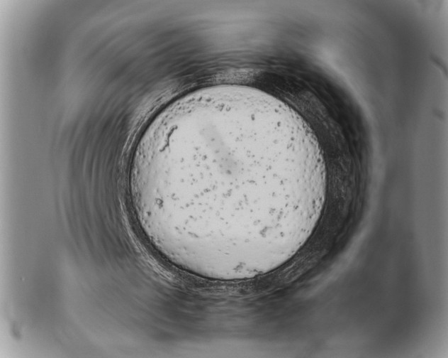 X0000102390049200808221834