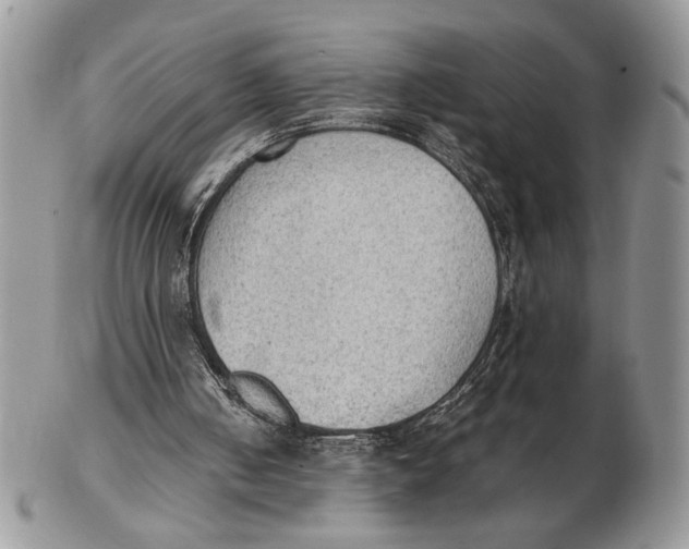 X0000102390050200808221834
