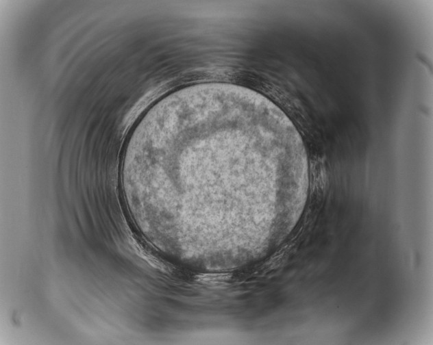 X0000102390051200808221834