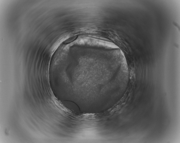 X0000102390052200808221834