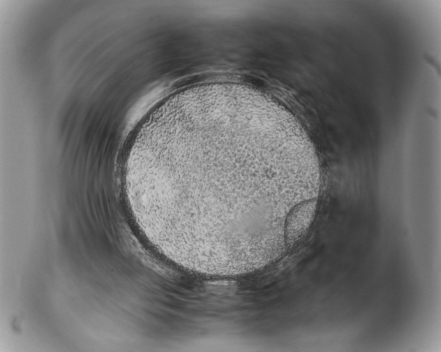 X0000102390053200808221834