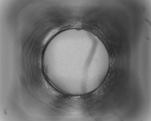 X0000102390054200808221834