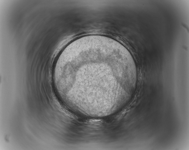 X0000102390055200808221834