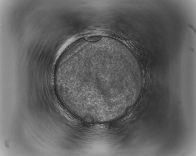 X0000102390056200808221834