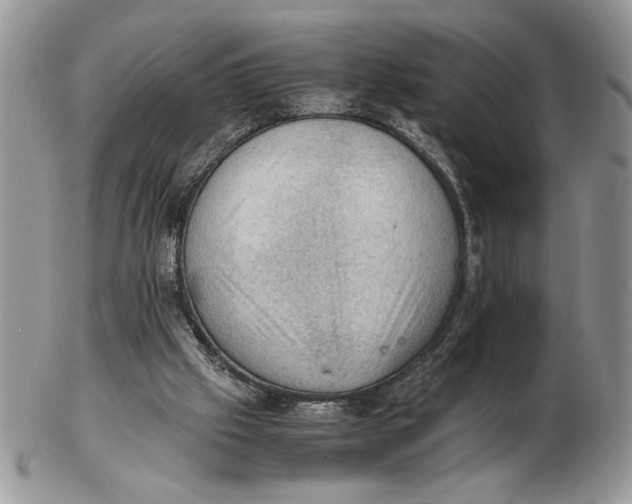 X0000102390057200808221834