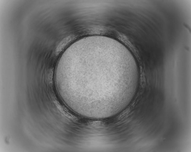 X0000102390058200808221834