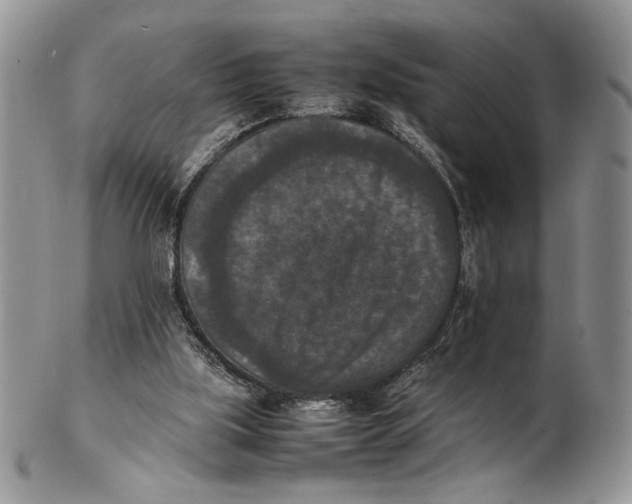 X0000102390059200808221834