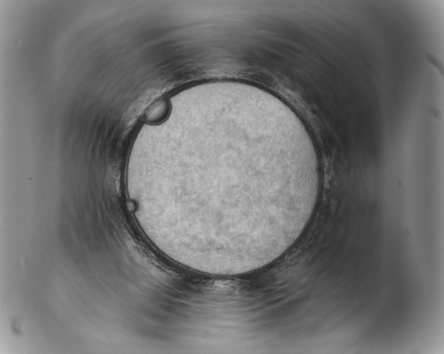 X0000102390060200808221834