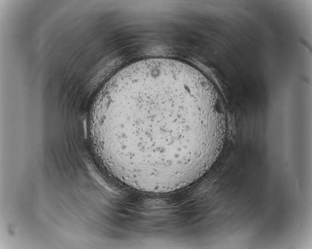 X0000102390061200808221834