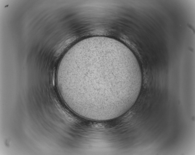 X0000102390062200808221834