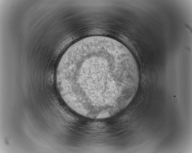 X0000102390063200808221834
