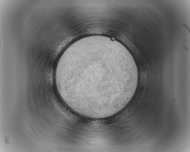 X0000102390064200808221834