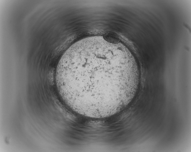 X0000102390065200808221834