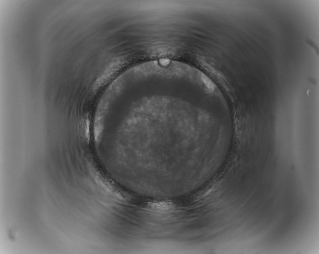 X0000102390067200808221834