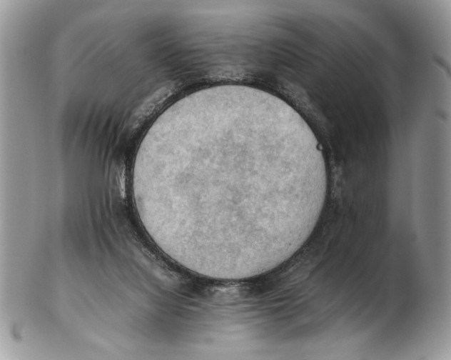 X0000102390068200808221834