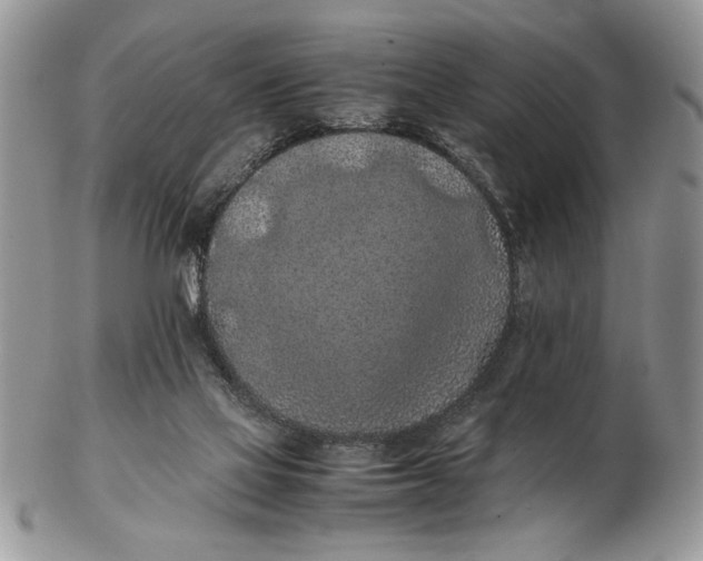 X0000102390069200808221834