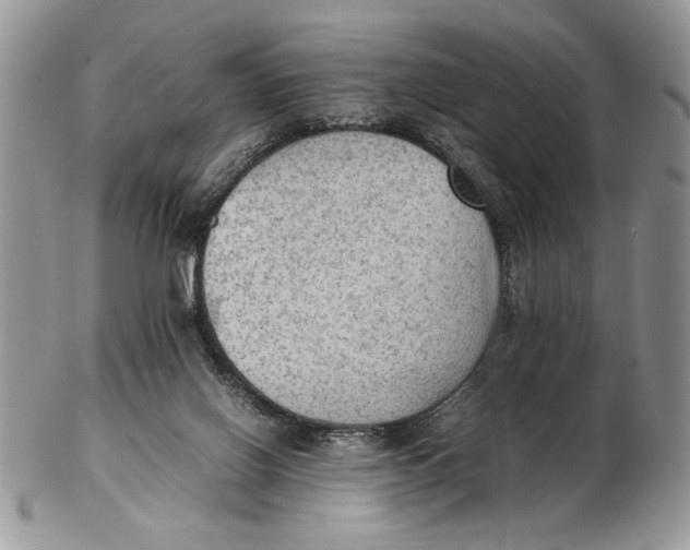 X0000102390070200808221834
