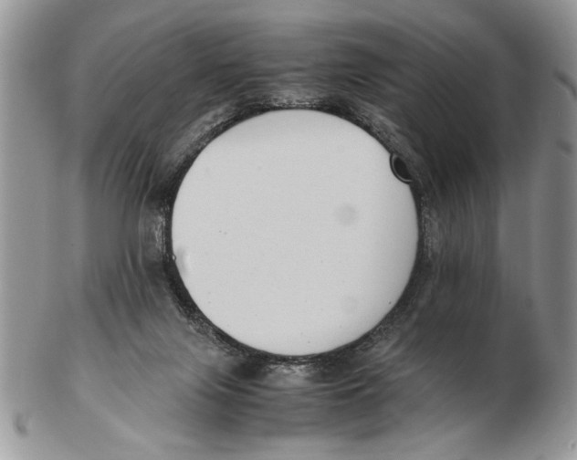 X0000102390071200808221834