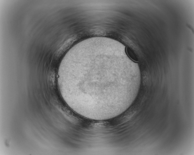 X0000102390072200808221834
