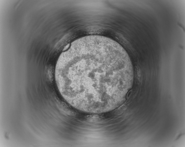 X0000102390074200808221834