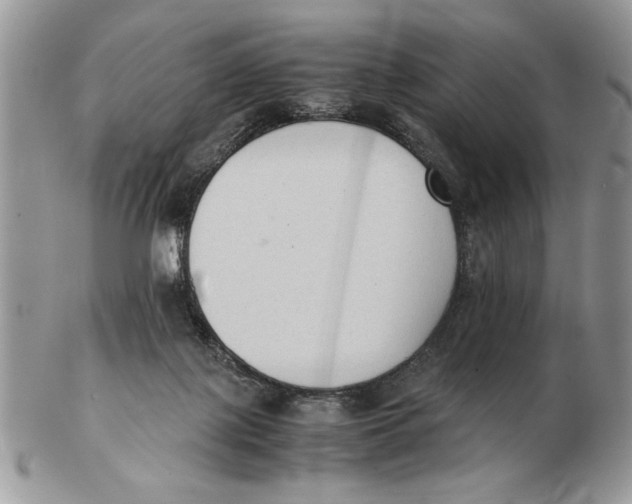 X0000102390075200808221834
