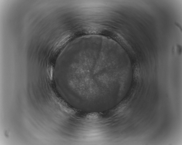 X0000102390076200808221835