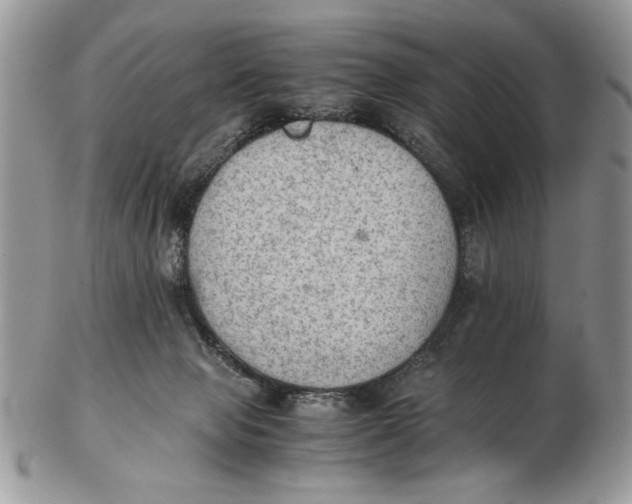 X0000102390077200808221835