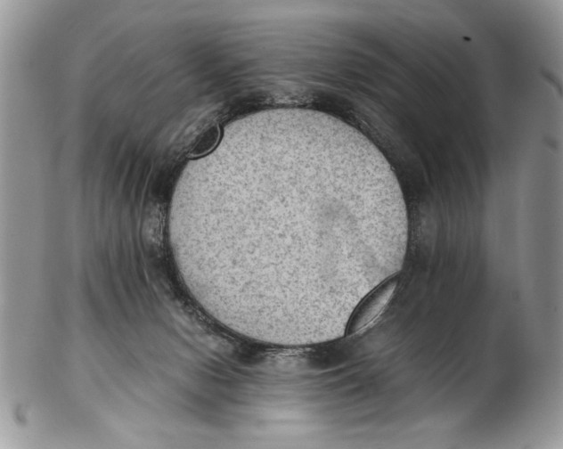 X0000102390078200808221835