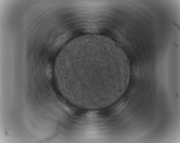 X0000102390080200808221835