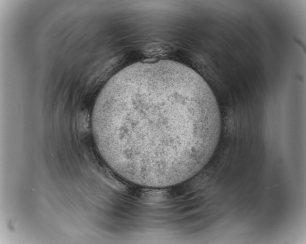 X0000102390081200808221835