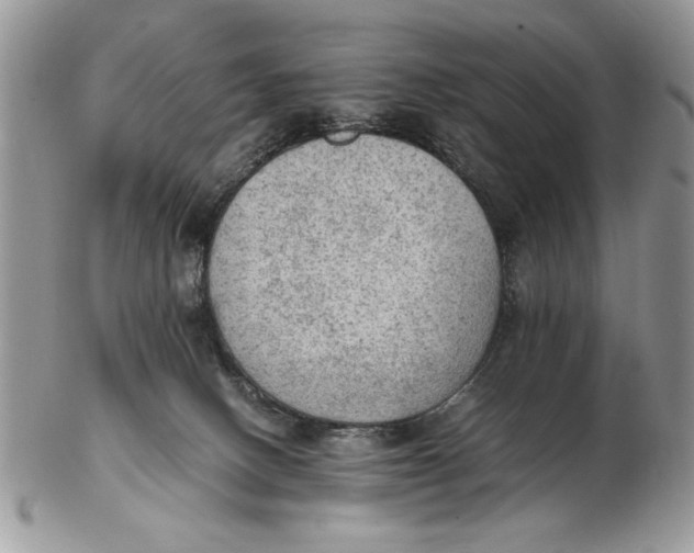 X0000102390082200808221835
