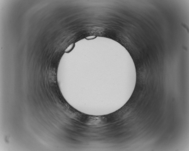X0000102390083200808221835