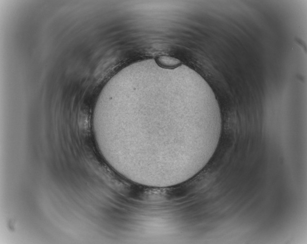 X0000102390084200808221835