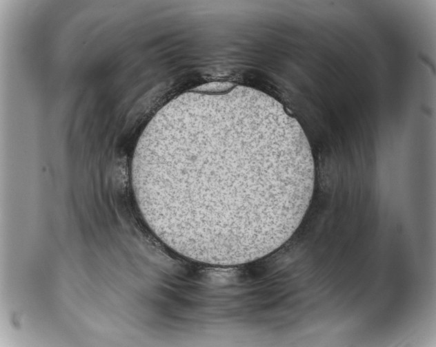 X0000102390085200808221835